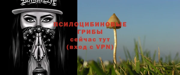 прущий лед Вязьма