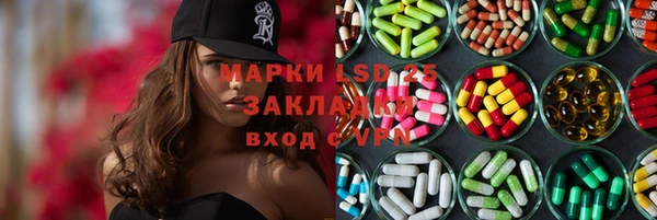 ГАЛЛЮЦИНОГЕННЫЕ ГРИБЫ Вяземский