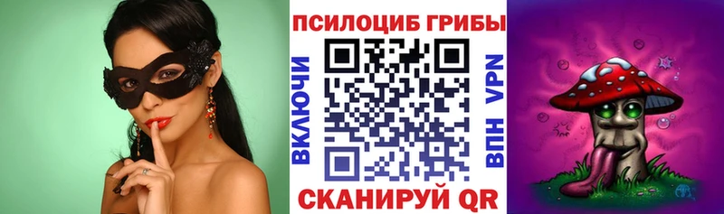 Купить где  Нижние Серги  Псилоцибиновые грибы MAGIC MUSHROOMS 